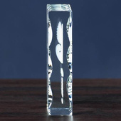 Podziękowanie za służbę w jednostkach lądowych DLA ŻOŁNIERZA