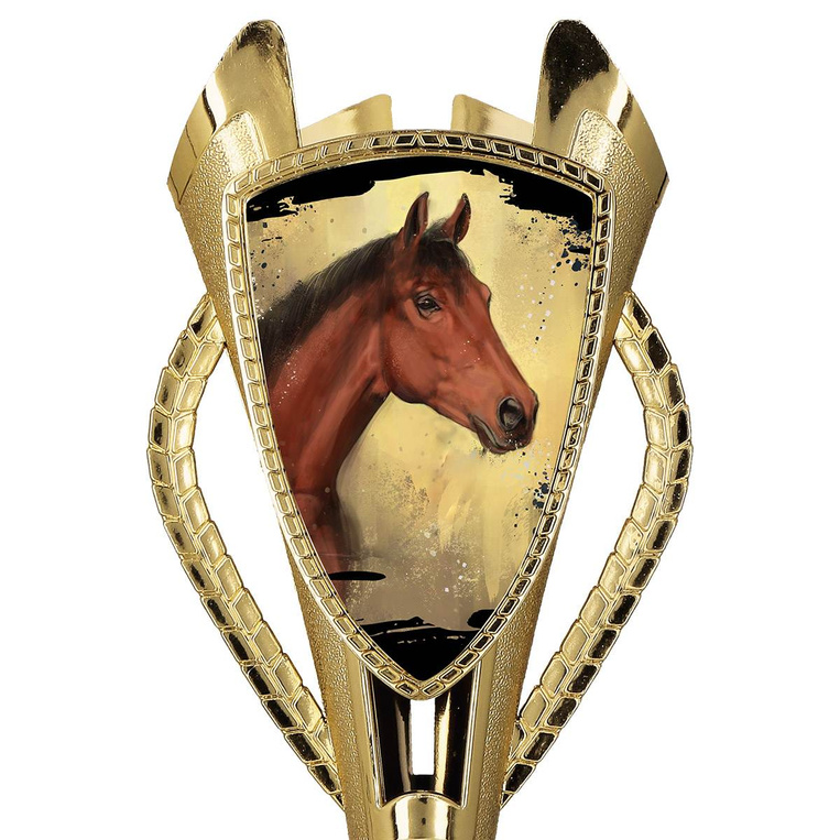 Puchar złoty C - Jeździectwo