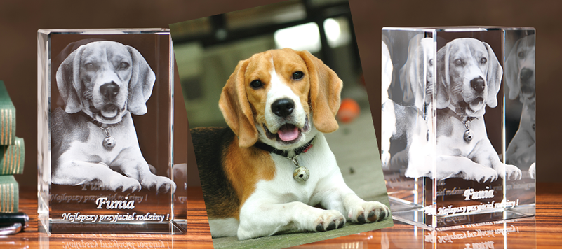 Pies 3D wygrawerowany w szklanej statuetce