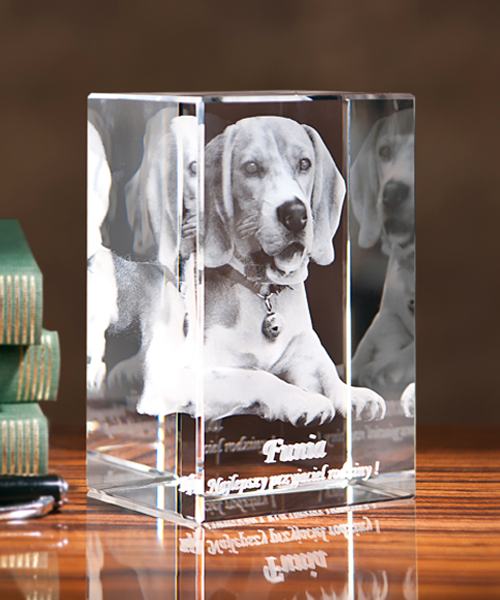 Zdjęcie 3D pieska w szkle na prezent - fotokryształ 3D
