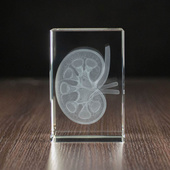 Nerka 3D wygrawerowana w szklanej statuetce - PREZENT DLA LEKARZA