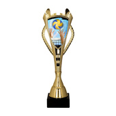 Puchar złoty C - Siatkówka