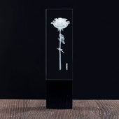 Prestiżowy prezent dla nauczyciela wychowawcy - piękny kwiat 3D w szkle