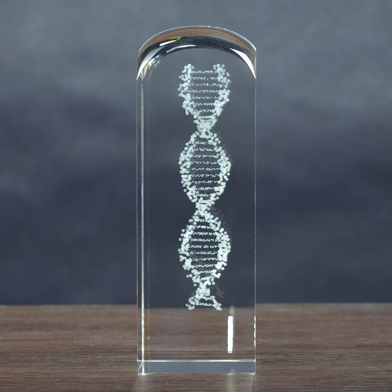 Prezent dla Promotora z dedykacją - kwas DNA 3D