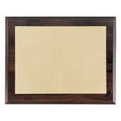 Dyplom 12x15 Złoty mat Poziom