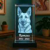 Statuetka kryształowa 3D z pupilem – fotolampka LED z imieniem psa