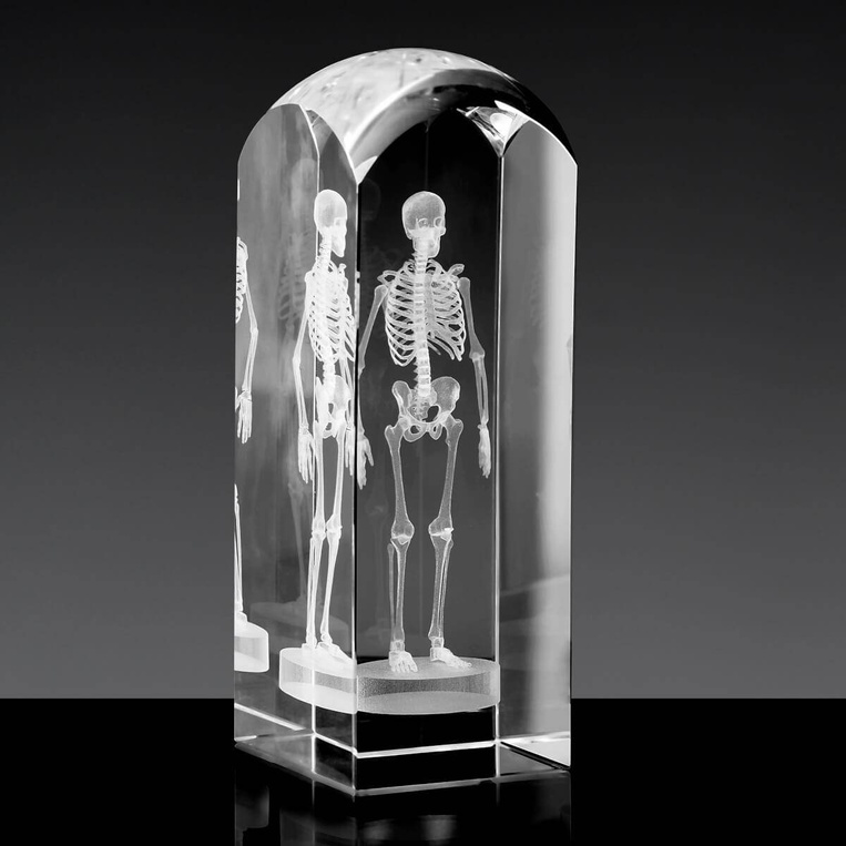 Podziękowania dla lekarza - szkielet 3D - statuetka Kolumna