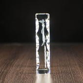 Kotwica 3D wygrawerowana w szklanej statuetce - JUBILEUSZ MARYNARZA