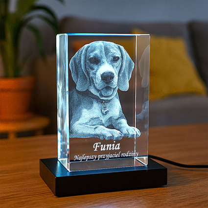 Fotokryształ 3D + LED z Twoim pieskiem – pamiątka dla miłośników zwierząt
