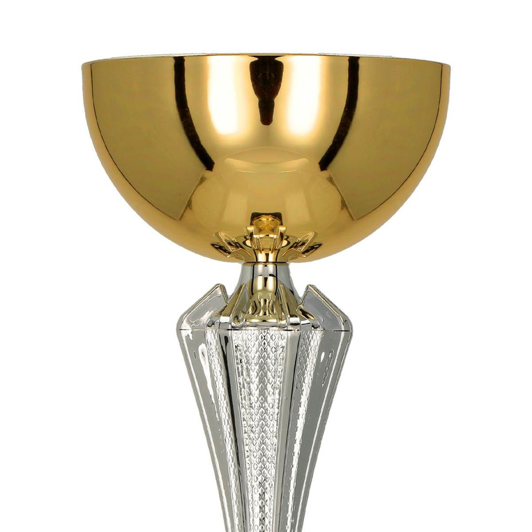 Puchar złoto-srebrny D