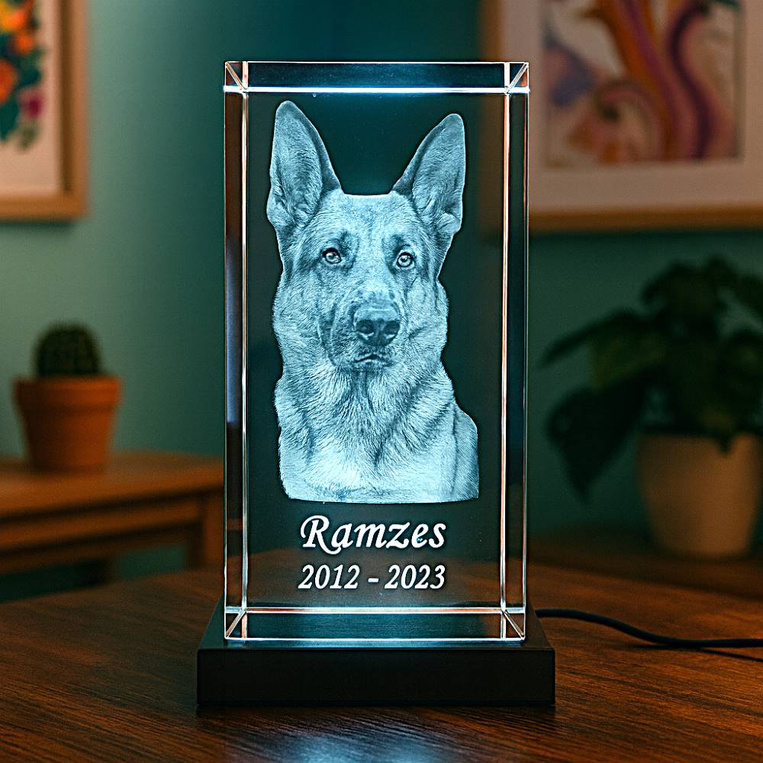 Statuetka kryształowa 3D z pupilem – fotolampka LED z imieniem psa