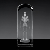 Szkielet 3D - statuetka na prezent dla lekarza w dużej statuetce 19x6,5x6,5 cm