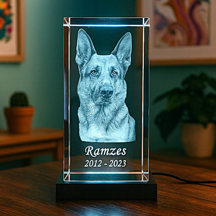 Statuetka kryształowa 3D z pupilem – fotolampka LED z imieniem psa