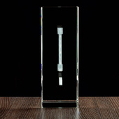 MEGASTATUETKA Logo firmowe w kryształowej statuetce 270x200x100 mm