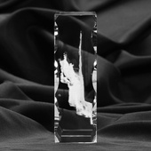 Starówka w Warszawie, statuetka 3D. Grawer ze zwykłego zdjęcia obiektu