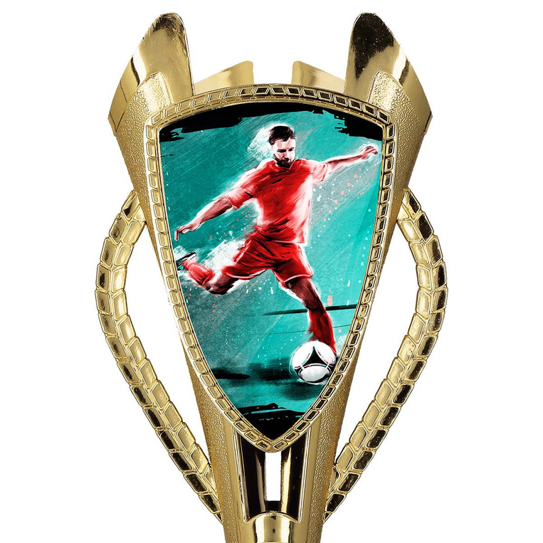 Puchar złoty D - Piłka nożna