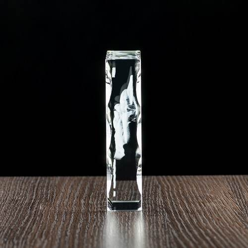 Pamiątka Chrztu 3D w krysztale od Matki Chrzestnej - FOTOPREZENT