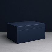 MEGASTATUETKA Hipokrates, popiersie 3D wygrawerowane w statuetce