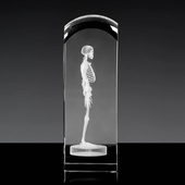 Szkielet 3D - statuetka na prezent dla lekarza w dużej statuetce 19x6,5x6,5 cm