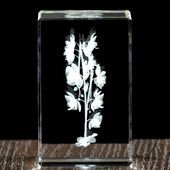 Storczyk w krysztale, wieczny kwiat to wyjątkowy prezent dla babci