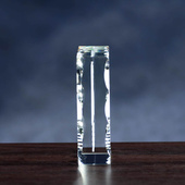 Prezent na Rocznicę Ślubu - Zdjęcie rodzinne 2D w szklanej statuetce