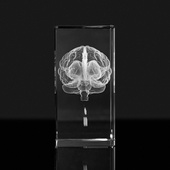 Trójwymiarowy mózg wygrawerowany w szkle na JUBILEUSZ FIRMY