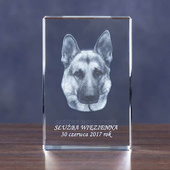 Prezent dla miłośnika psów - zdjęcie psa w służbie policji, więziennej