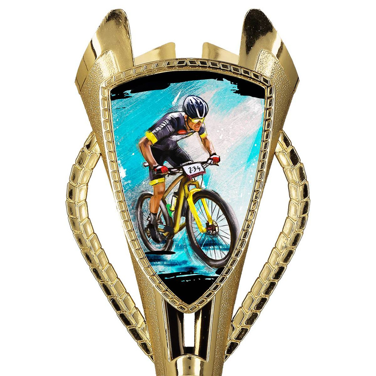 Puchar złoty D - Kolarstwo MTB