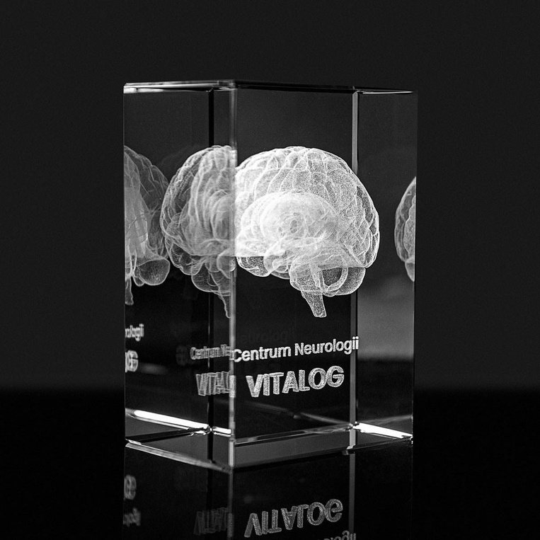 Grawerowany model mózgu 3D - kryształowa statuetka