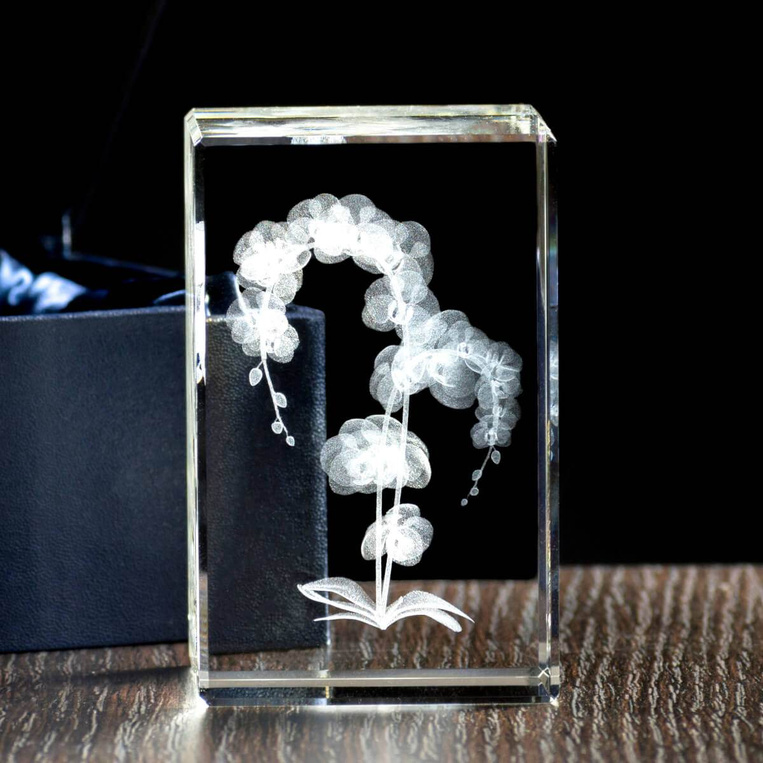 Storczyk w krysztale, wieczny kwiat to wyjątkowy prezent dla babci