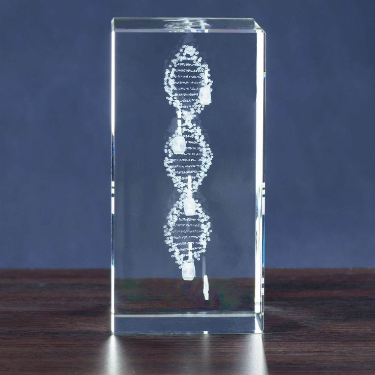 MEGASTATUETKA - Kwas DNA personalizowany dedykacją. Oś czasu firmy