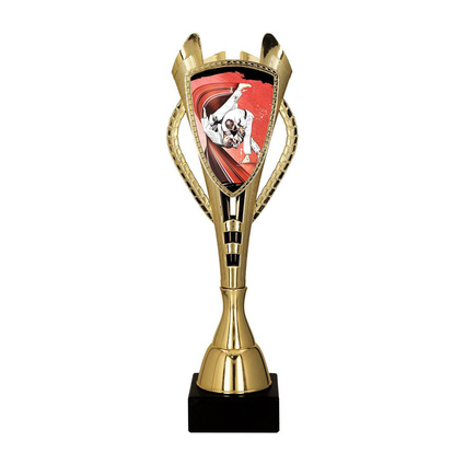 Puchar złoty C - Judo