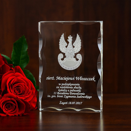 Podziękowanie za służbę w jednostkach lądowych DLA ŻOŁNIERZA