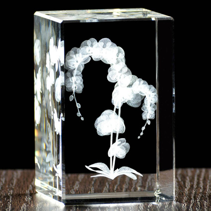 Storczyk w krysztale, wieczny kwiat to wyjątkowy prezent dla babci